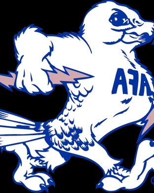 Air Force Falcons Usaf Academy