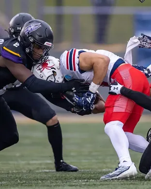 Ualbany Great Danes Football Stony Brook