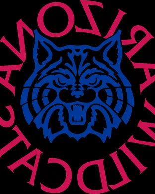 Arizona Wildcats Basketball New York