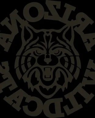 Arizona Wildcats New York