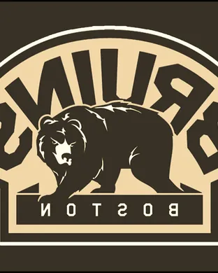 Boston Bruins Boston