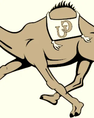 Campbell Fighting Camels Football Buies Creek