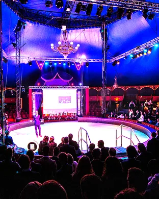 Cirque De Paris Trumbull