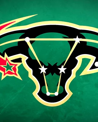 Dallas Stars Dallas