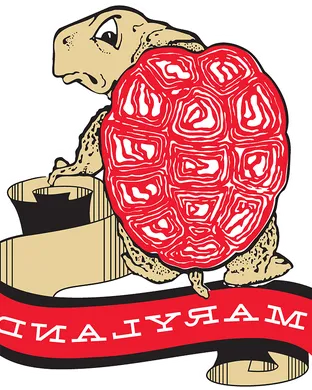 Maryland Terrapins East Hartford