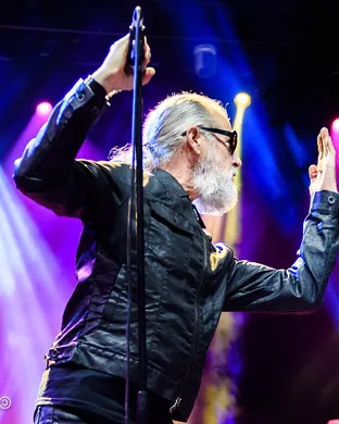 Men Without Hats Hamden