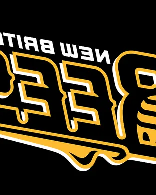 New Britain Bees New Britain