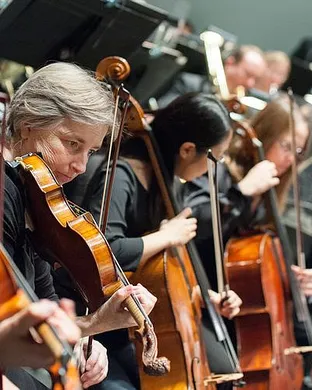 New Haven Symphony Orchestra Fairfield