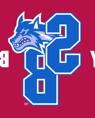Stony Brook Seawolves Football Dover