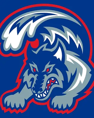 Stony Brook Seawolves Dover