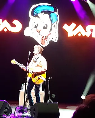 Stray Cats Westbury