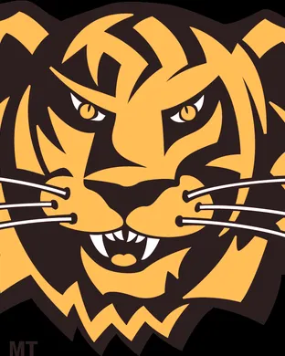 Towson Tigers Football Towson