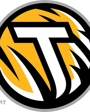 Towson Tigers Towson